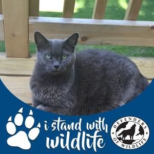 Meet your Posher, Madeline